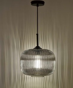 Gaublio formos šviestuvas su stikliniu gaubtu Dar DEMARIUS